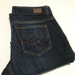 Women’s size 2 express X2 Slim w10 low rise boot cut jean NWT